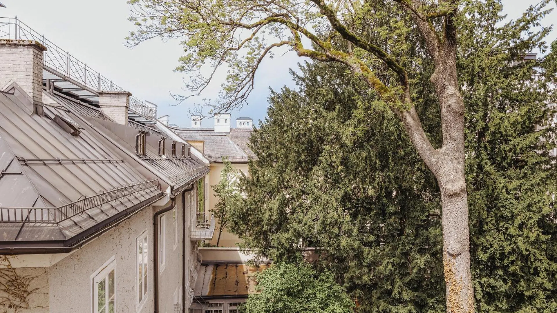 Hotel Gentle Hide Designhotel Solnohrad Rakousko